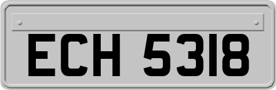 ECH5318