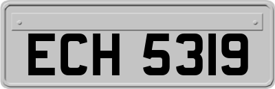 ECH5319