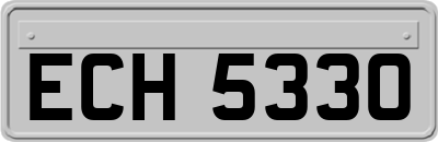 ECH5330