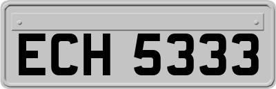 ECH5333