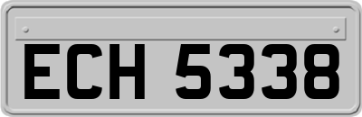 ECH5338