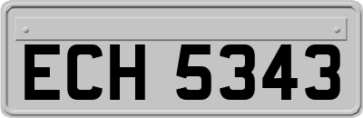 ECH5343
