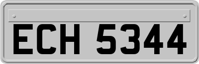 ECH5344