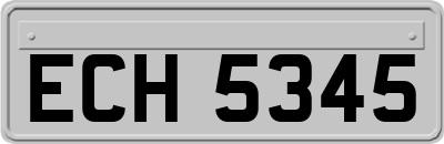 ECH5345