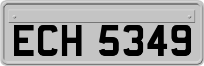 ECH5349