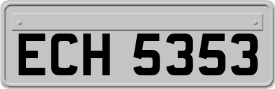 ECH5353