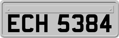 ECH5384