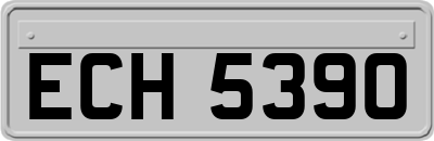 ECH5390