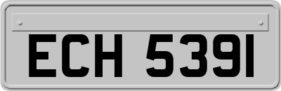 ECH5391