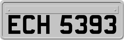ECH5393