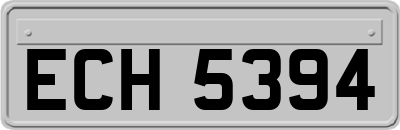 ECH5394