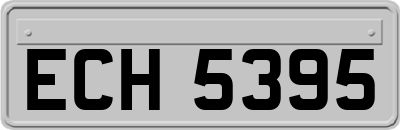 ECH5395