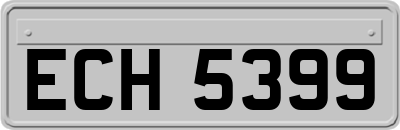 ECH5399