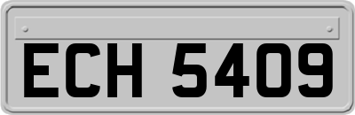 ECH5409