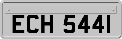ECH5441