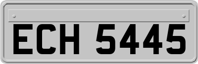 ECH5445