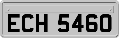 ECH5460
