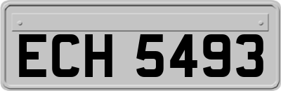 ECH5493