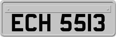 ECH5513