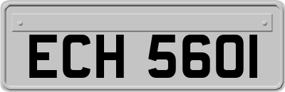 ECH5601