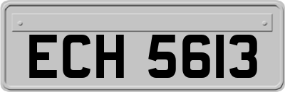 ECH5613