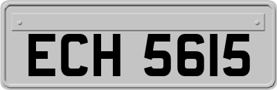 ECH5615