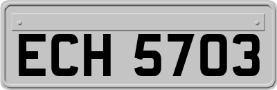 ECH5703