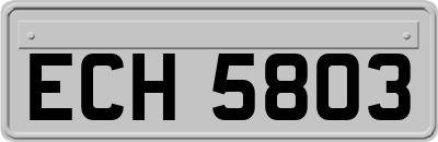 ECH5803