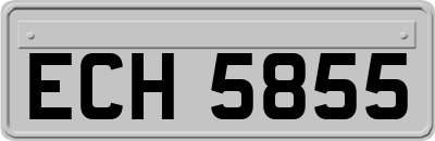 ECH5855