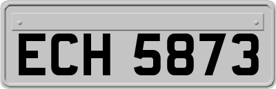 ECH5873