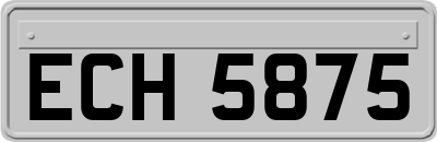 ECH5875