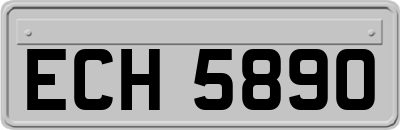 ECH5890