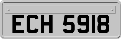 ECH5918