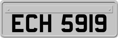 ECH5919