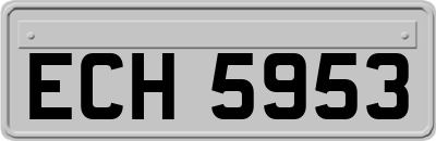 ECH5953