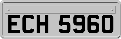 ECH5960