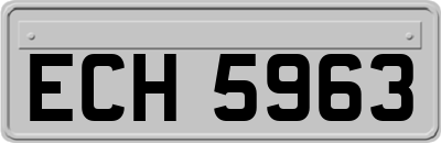 ECH5963