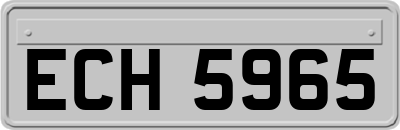 ECH5965
