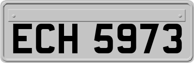 ECH5973