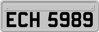 ECH5989