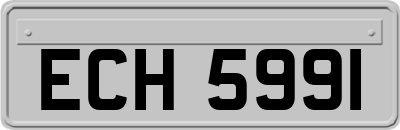 ECH5991