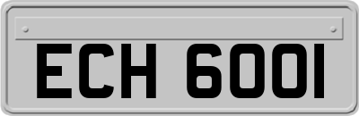 ECH6001