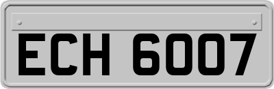 ECH6007