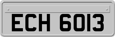 ECH6013