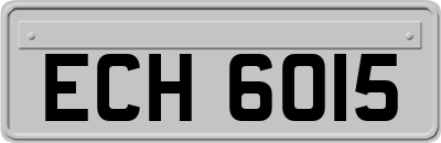 ECH6015