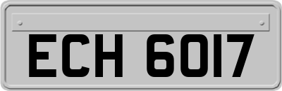 ECH6017