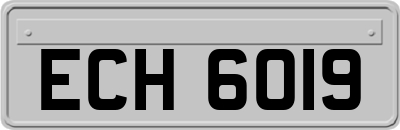 ECH6019