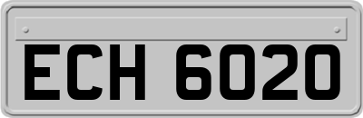 ECH6020