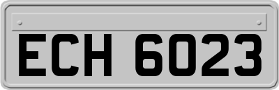 ECH6023