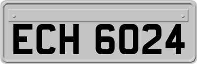 ECH6024